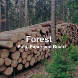 .FOREST, PULP & PAPER
